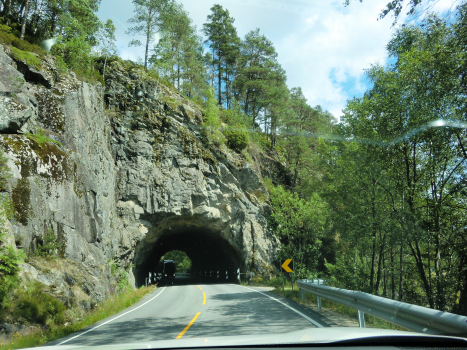 Kongevoll-Tunnel