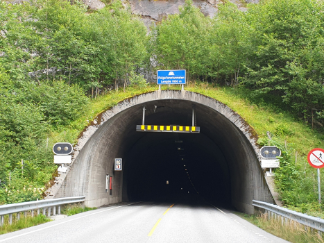 Tunnel de Folgefonn