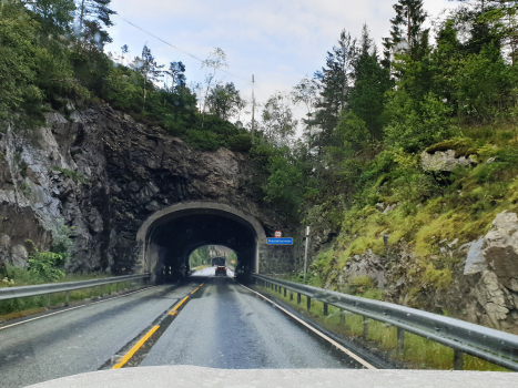 Grasdal Tunnel