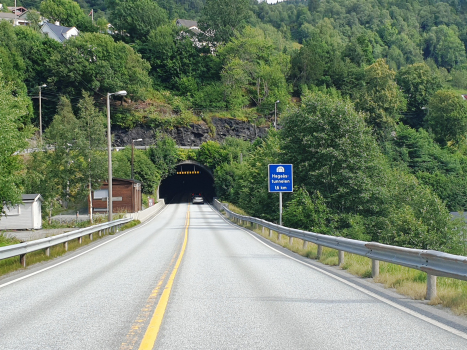 Tunnel de Hagaås