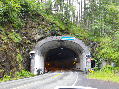 Tunnel de Hansagjel