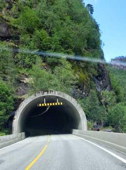 Tunnel de Liaros