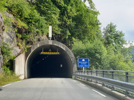 Tunnel de Nordrepollen