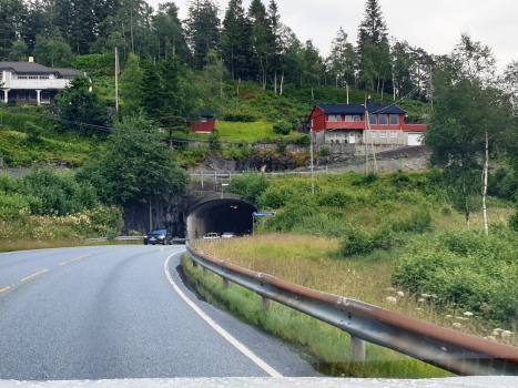 Raunekleiv Tunnel