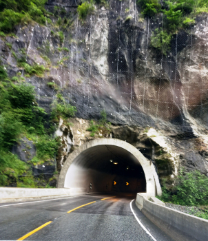 Snauhaug-Tunnel