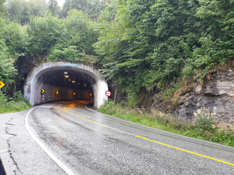 Snauhaug Tunnel