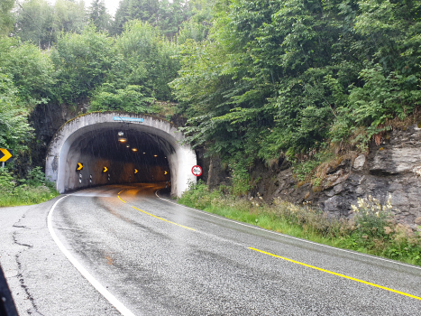 Snauhaug Tunnel