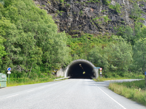 Teigaberg Tunnel