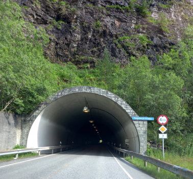 Tunnel de Teigaberg