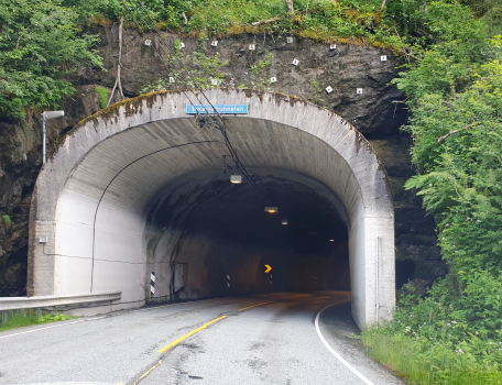 Tokagjel-Tunnel