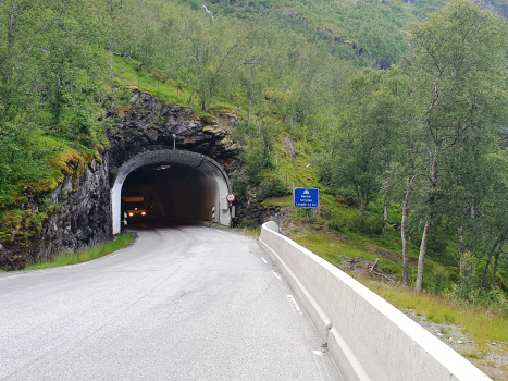 Tunnel Berdal