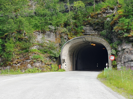 Tunnel de Botna
