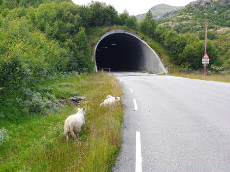 Botna-Tunnel