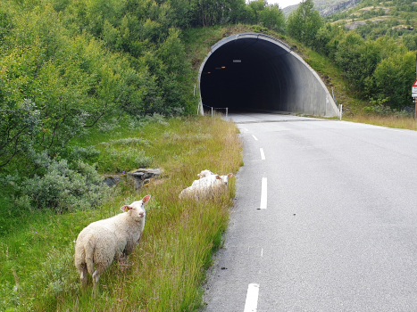 Botna Tunnel