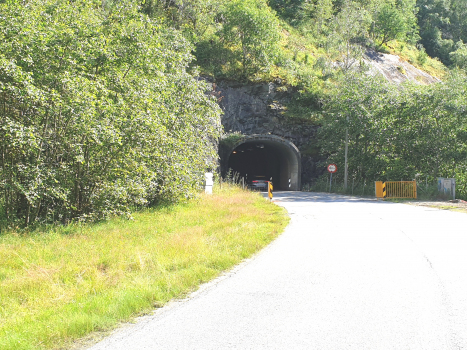 Haga-Tunnel