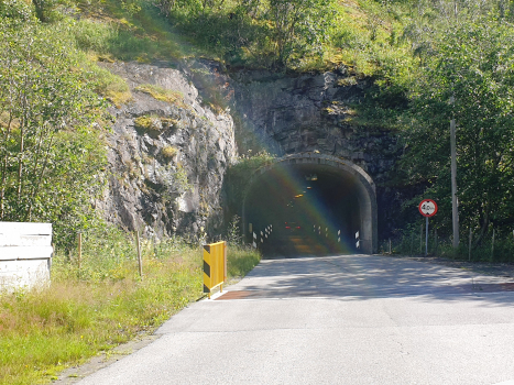 Haga Tunnel