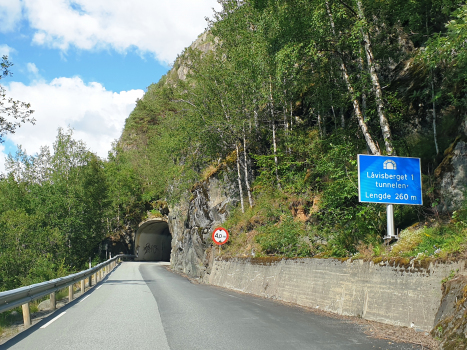 Låvisberget 1-Tunnel