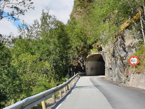 Låvisberget 1 Tunnel