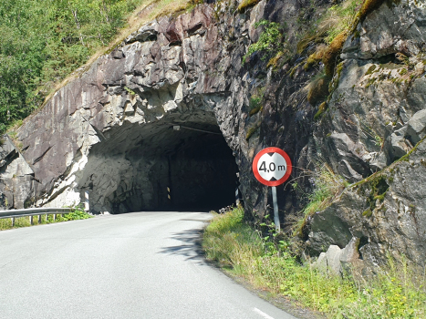 Låvisberget 4-Tunnel