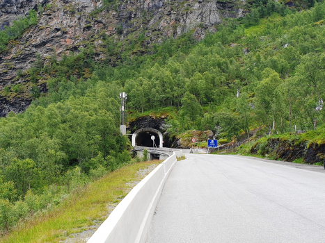 Tunnel de Nesbø