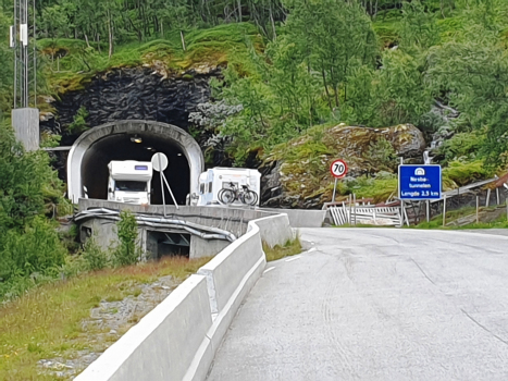 Nesbø Tunnel