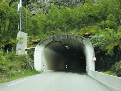 Nesbø-Tunnel