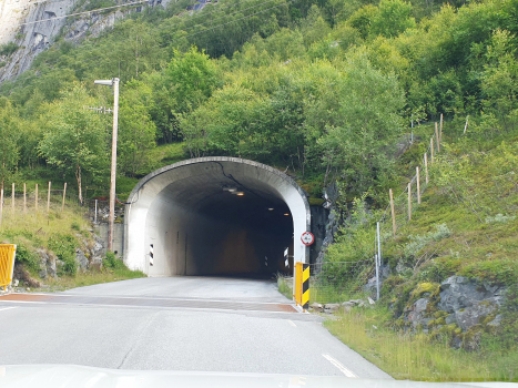 Stondal Tunnel