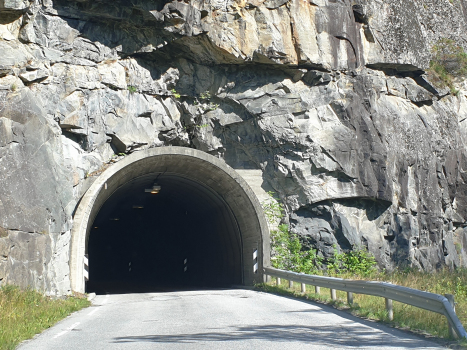 Vassbygd Tunnel