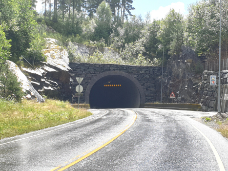 Halsnøy Tunnel