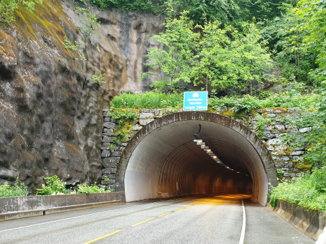 Tunnel de Nattland