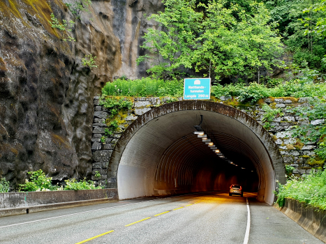 Tunnel Nattland