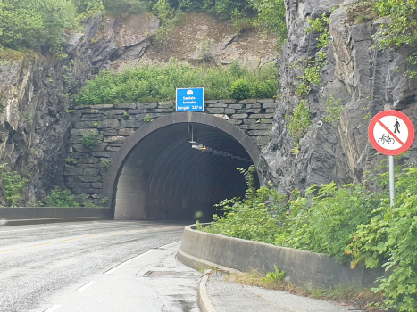 Tunnel de Sædal