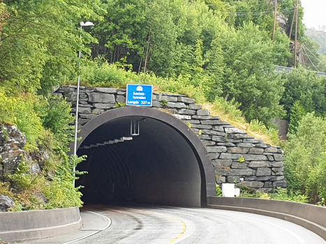Tunnel Sædal