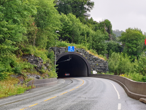 Tunnel Sædal