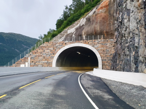 Tunnel de Ljoteli