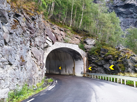 Tunnel de Rausdal II