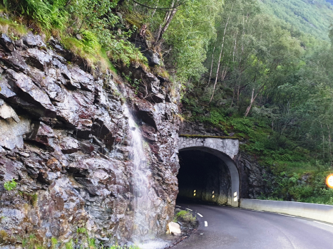 Tunnel de Rausdal II