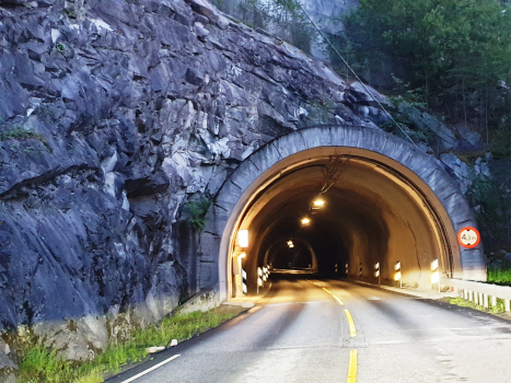 Timreskred-Tunnel