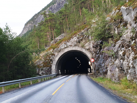 Timreskred-Tunnel