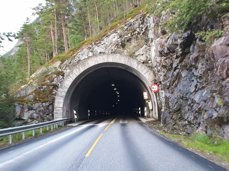 Timreskred Tunnel