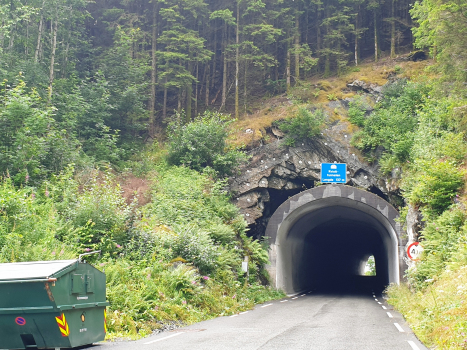 Tunnel de Kvisti