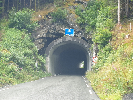 Tunnel de Kvisti