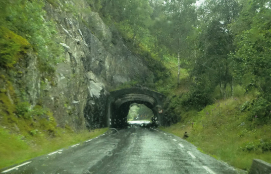 Tunnel de Tungesvik