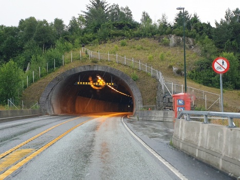 Tunnel de Hellevik