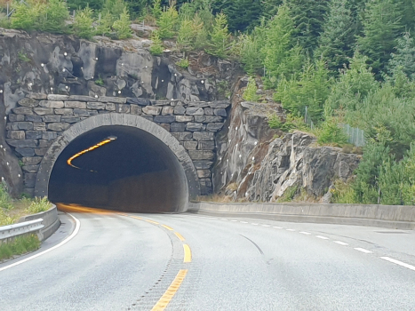 Tunnel Spannavard