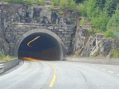 Tunnel de Spannavard