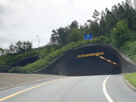 Knappe Tunnel