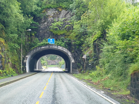 Tunnel de Lyngbø