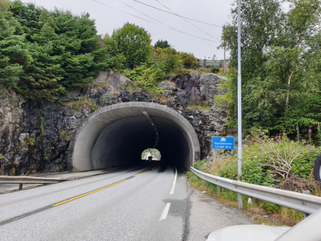 Tunnel de Spjeld