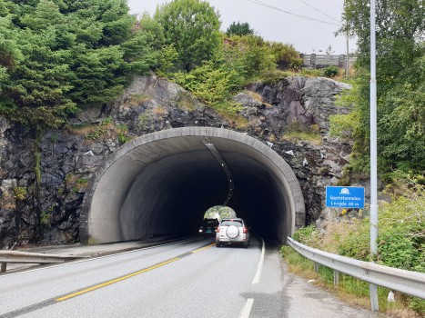 Tunnel de Spjeld